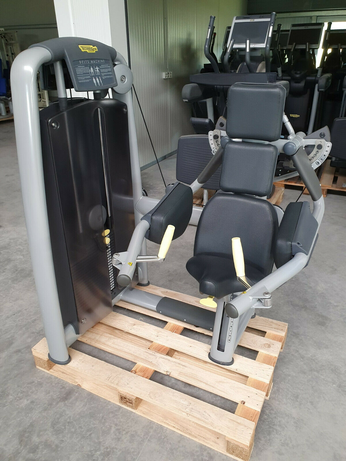 TECHNOGYM Selection Line Delts Deltoid Schulter Seithebe Maschine Fitness Gym Fitness-Inserate.de